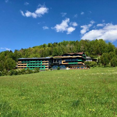 Natura Hotel Bodenmais - Inkl Soft- Und Heissgetraenkeflat Экстерьер фото